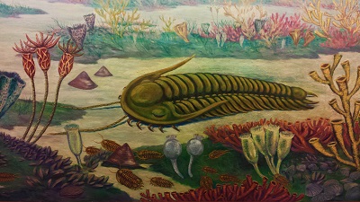 trilobite-painting-resized