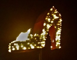 Silver Slipper AFTER-Photo by cjverb (2017)