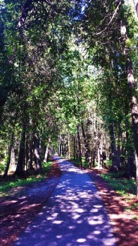 Mackinac Island, Photo by cjverb (2017)-3