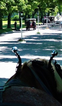 Photo by Steppinstars, Pixabay-1