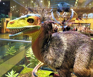Dromaeosaur, Milwaukee Public Museum, Photo by cjverb (2017)