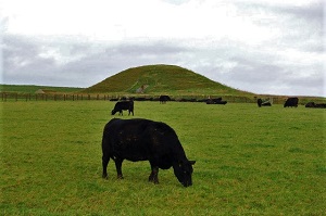 Maeshowe (2007) Photo by Geograph.org.uk, Wikimedia Commons
