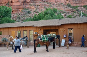 Supai, Arizona (2008), Photo by Elf, Wikimedia Commons-300px