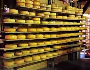 3-Aging Gouda in Amsterdam, Photo by cjverb (2014)
