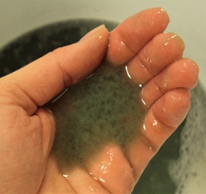 Pulp made from rags, Photo by M. Cornelison, Wikimedia Commons-300px