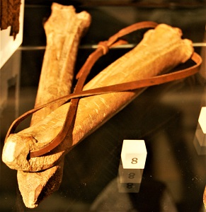 Medieval Skates made of bone, London Museum, Photo by Steven G. Johnson, Wikimedia Commons