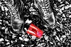 Red Cup, Photo by MabelAmber, Pixabay-100px