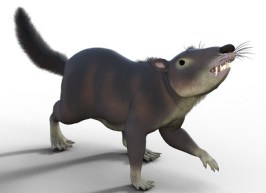 Cronopio by Frank Markussen, Wikimedia Commons