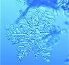 Snowflake, Photo by Moona Tarvainen, Pixabay-100px